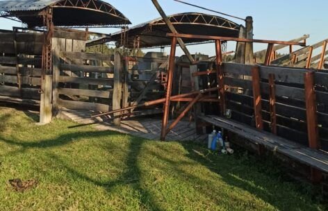 Corral y manga o tubo de trabajo con techo